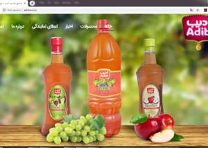 طراحی وب سایت صنایع غذایی ادیب