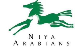 طراحی لوگو پرورش دهنده اسب عربی
