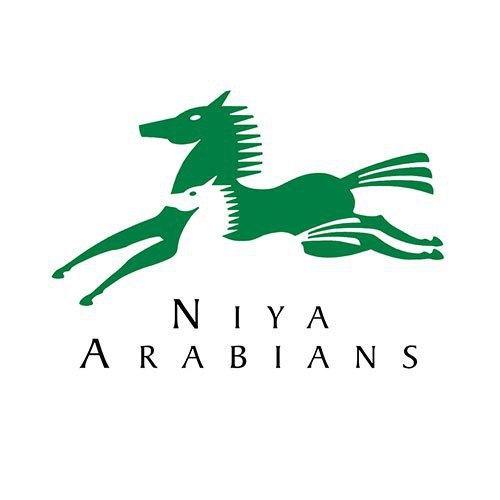 طراحی لوگو پرورش دهنده اسب عربی 1